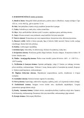 Akademinė vaiko slaugos istorija 2 puslapis