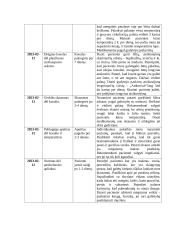 Akademinė vaiko slaugos istorija 4 puslapis