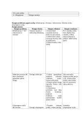 Vaiko slauga. Atvejo analizė 2 puslapis