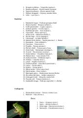 Nykstantys gyvūnai Lietuvoje, to priežastys 5 puslapis