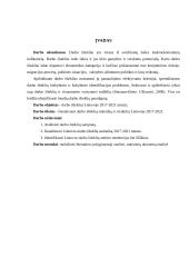 Lietuvos darbo ištekliai 2017-2021 metais 2 puslapis