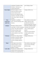 Būtinosios medicinos pagalbos ir intensyviosios slaugos profesinės praktikos ataskaita 16 puslapis