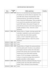 Būtinosios medicinos pagalbos ir intensyviosios slaugos profesinės praktikos ataskaita 6 puslapis