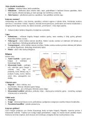 Jutimai - konspektas 2 puslapis