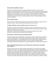 Parazitinės kirmėlės 4 puslapis