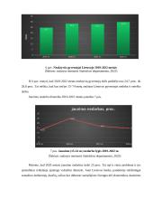 Lietuvos ekonomikos augimas 2019-2022 metais 14 puslapis