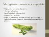 Daržovių pirminis paruošimas ir pusgaminiai 11 puslapis