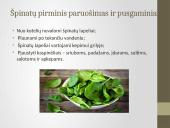 Daržovių pirminis paruošimas ir pusgaminiai 12 puslapis
