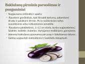 Daržovių pirminis paruošimas ir pusgaminiai 14 puslapis