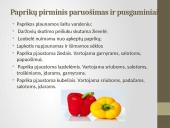 Daržovių pirminis paruošimas ir pusgaminiai 15 puslapis
