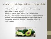 Daržovių pirminis paruošimas ir pusgaminiai 18 puslapis