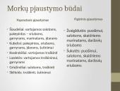 Daržovių pirminis paruošimas ir pusgaminiai 4 puslapis