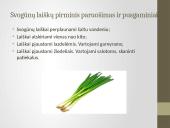 Daržovių pirminis paruošimas ir pusgaminiai 7 puslapis