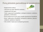 Daržovių pirminis paruošimas ir pusgaminiai 8 puslapis
