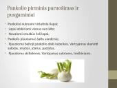 Daržovių pirminis paruošimas ir pusgaminiai 9 puslapis
