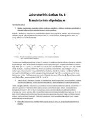 Laboratorinis darbas Nr. 6 Tranzistorinis stiprintuvas