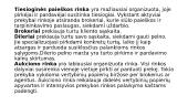 Finansų rinka (skaidrės) 12 puslapis