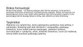 Finansų rinka (skaidrės) 5 puslapis