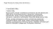 Finansų rinka (skaidrės) 7 puslapis