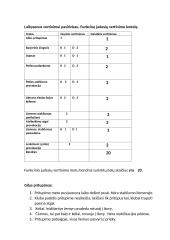 Laikysenos vertinimas 4 puslapis