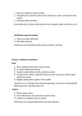 Laikysenos vertinimas 8 puslapis