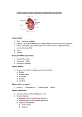 Šlapimo ir tuštinimosi sistema konspektas 3 puslapis