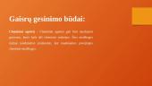 Gaisrų gesinimo būdai ir medžiagos (skaidrės) 14 puslapis