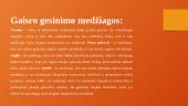 Gaisrų gesinimo būdai ir medžiagos (skaidrės) 17 puslapis
