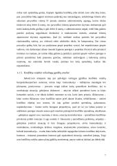 Konfliktų vadyba. Referatas 6 puslapis