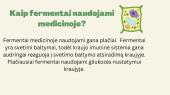 Fermentai medicinoje 2 puslapis