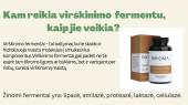 Fermentai medicinoje 4 puslapis