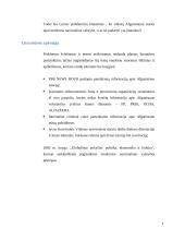 Ko trūksta Afganistanui norint tapti modernia nacionaline valstybe? Ar tai įgyvendinti įmanoma? 3 puslapis