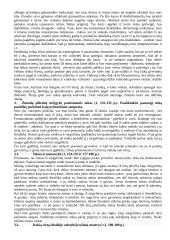 Filosofija. Platono konspektas 7 puslapis