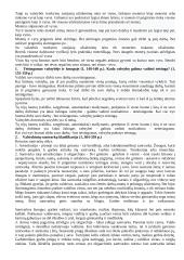 Filosofija. Platono konspektas 8 puslapis