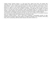 Filosofija. Platono konspektas 10 puslapis