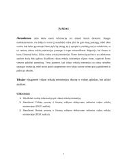 Vidaus reikalų ministerija 2 puslapis