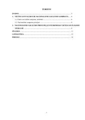 Vietos savivaldos institucijų veikla įgyvendinant nacionalinio saugumo principus