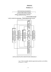 Vietos savivaldos institucijų veikla įgyvendinant nacionalinio saugumo principus 13 puslapis
