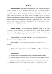 Vietos savivaldos institucijų veikla įgyvendinant nacionalinio saugumo principus 2 puslapis