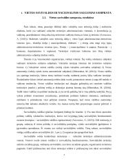 Vietos savivaldos institucijų veikla įgyvendinant nacionalinio saugumo principus 3 puslapis