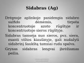 Metalai juvelyrikoje 12 puslapis