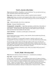 J. Aputis. Novelių analizė 2 puslapis