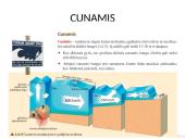 Vandens judėjimas pasauliniame vandenyne 11 puslapis