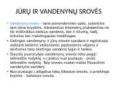 Vandens judėjimas pasauliniame vandenyne 12 puslapis