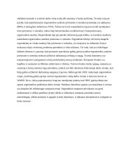  Ergonomikos straipsnių analizė 5 puslapis