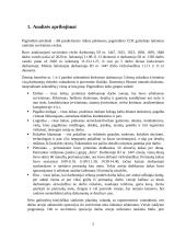 Įmonės xxx cecho darbo analizė 2 puslapis