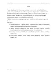 Kūrybiška organizacija 2 puslapis