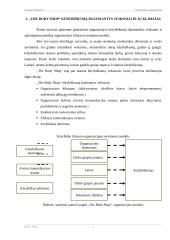 Kūrybiška organizacija 5 puslapis