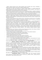 Mokesčių teisė - konspektas 18 puslapis