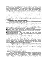 Mokesčių teisė - konspektas 3 puslapis